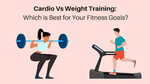 Cardio vs. Weight Training for Fat Loss: Which is More Effective?